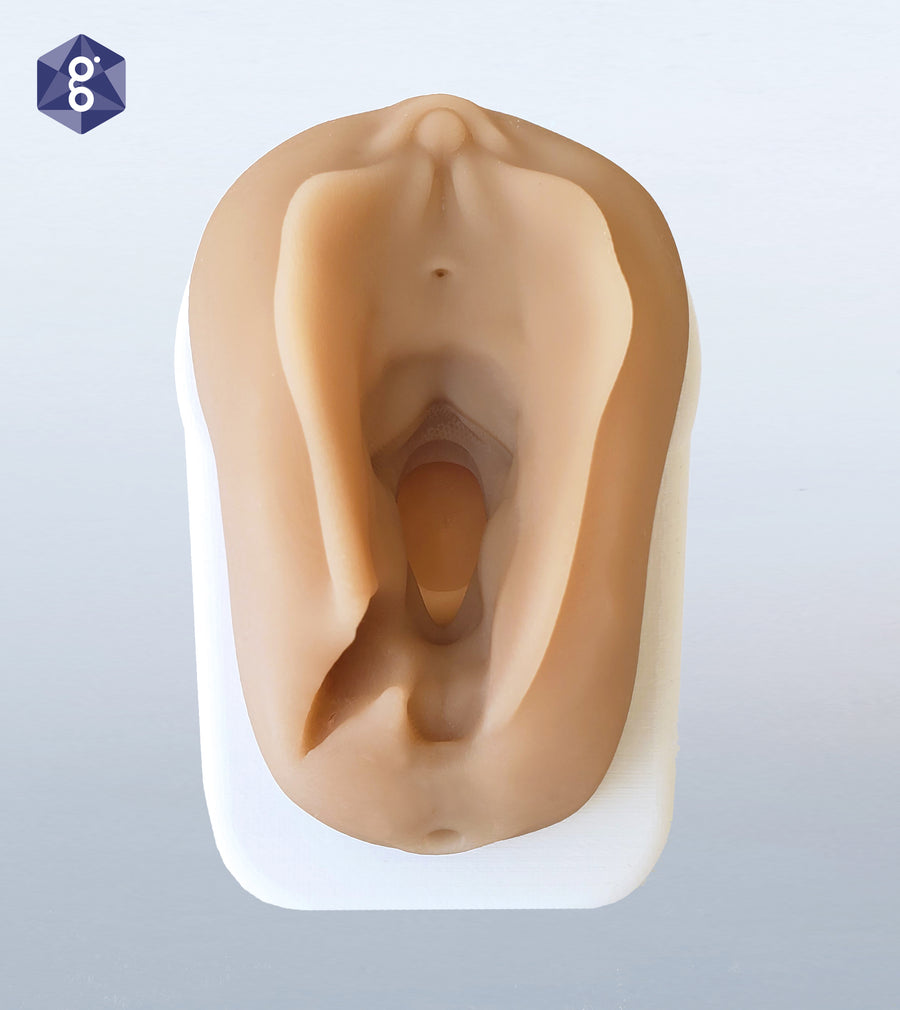 PeriSim :: Modelo anatómico de ensayo de sutura