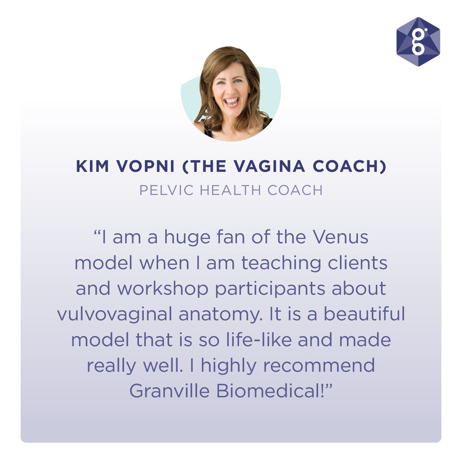 Venus Pelvic Health Anatomical Model testimonial from Pelvic Health Coach (The Vagina Coach) Kim Vopni on using Venus for teaching clients and workshop participants about anatomy 